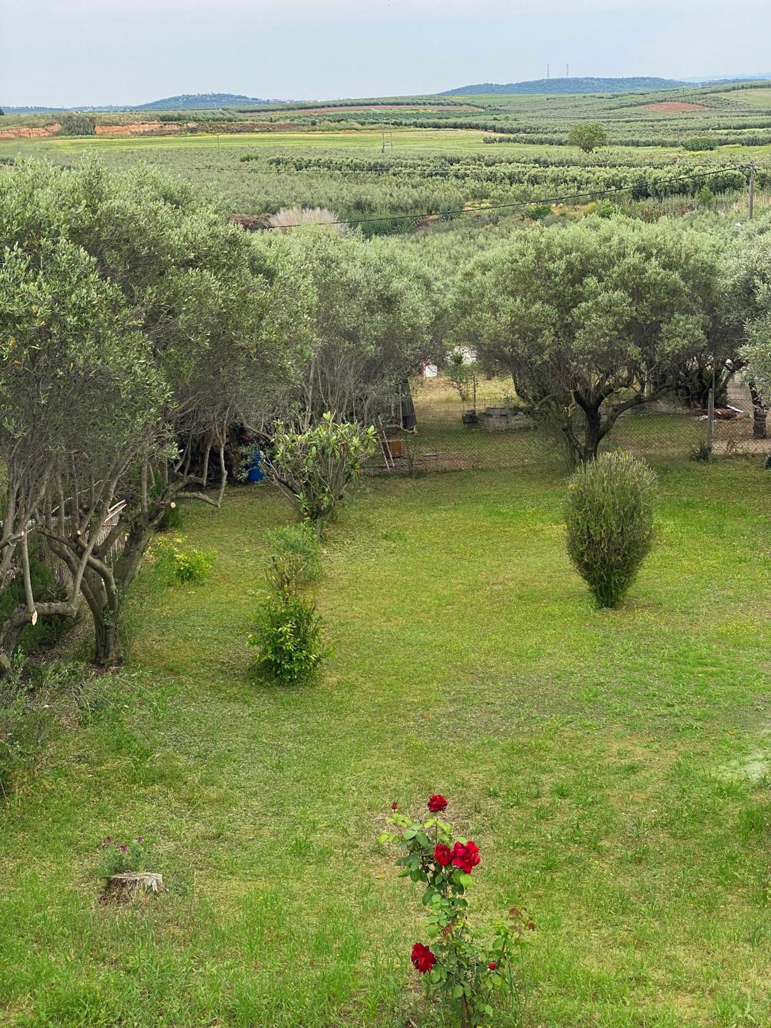 Mediterranean Escape Flogita Exterior foto